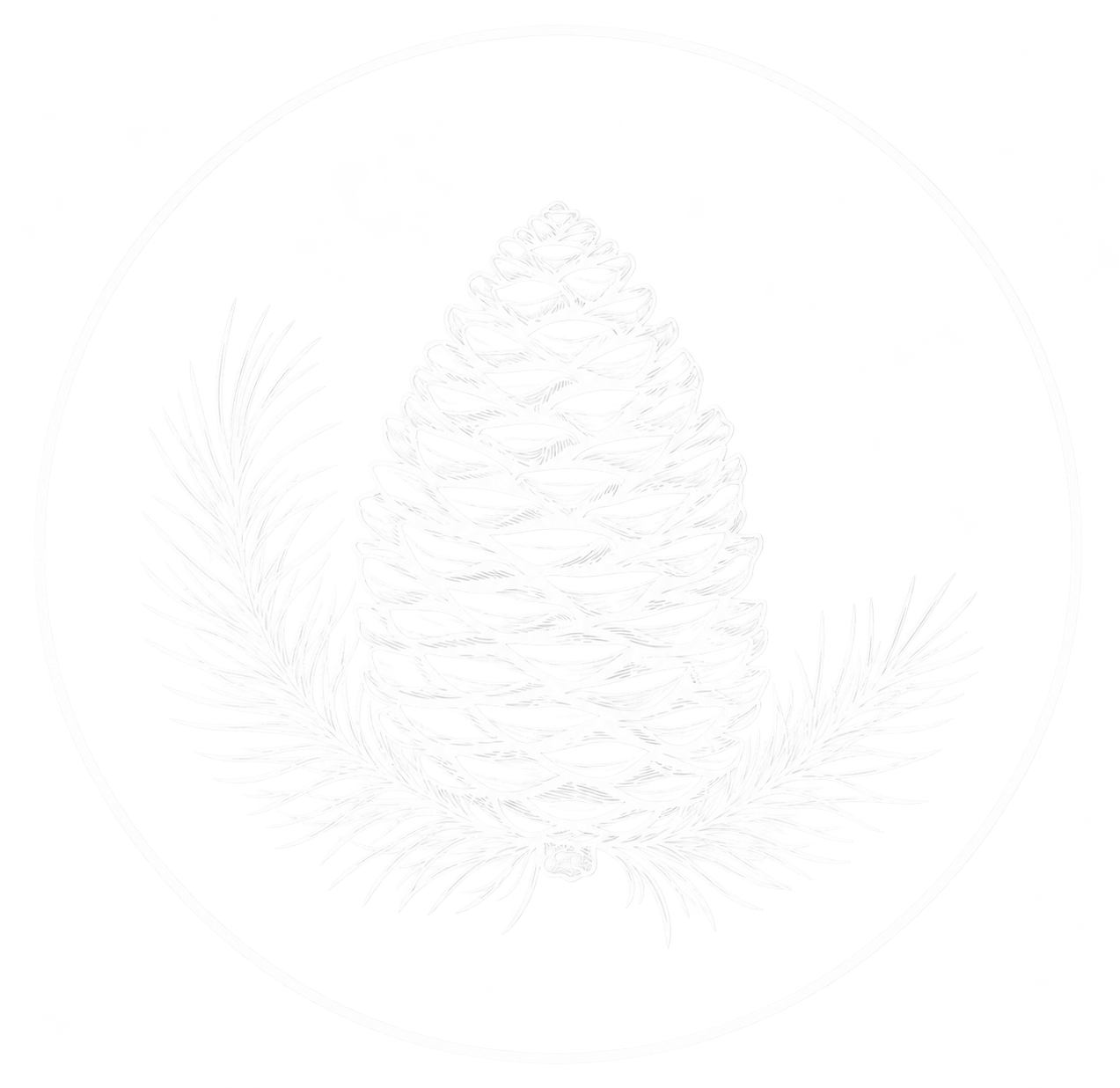 Witte dennenappel met dennentakken binnen een ronde cirkel — Umoja World.
