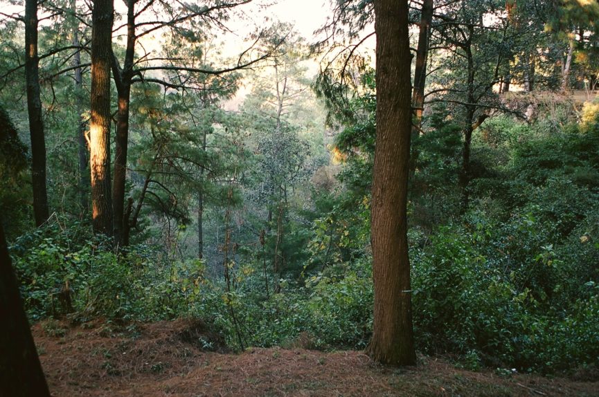 Harmoniserende Wandelingen